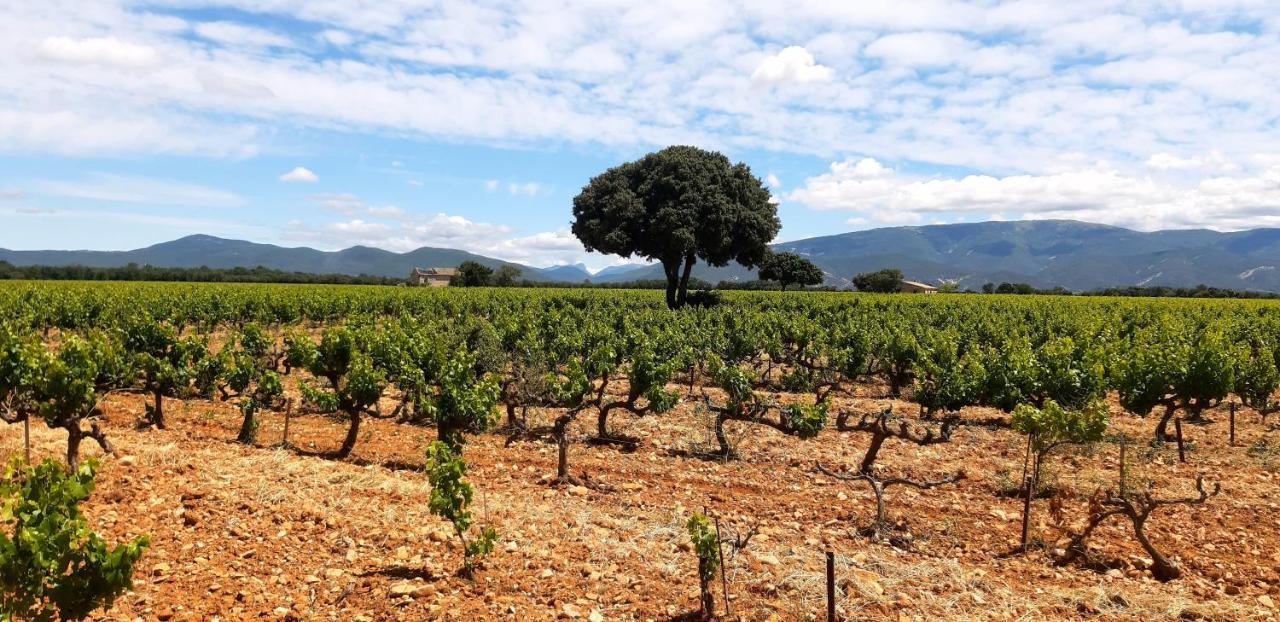 L'Instant Provence Villa Valréas Eksteriør billede